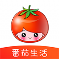 番茄生活社区App下载安卓版