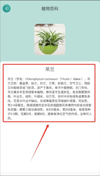 小黄养花app图片4