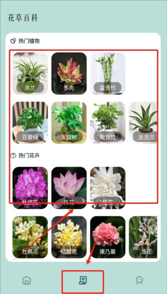 小黄养花app图片3