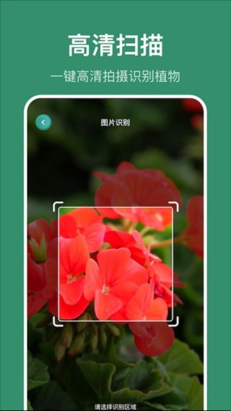 小黄养花app图片1