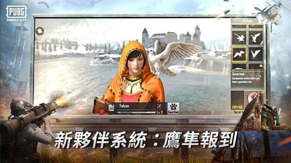 PUBGMobileLITE