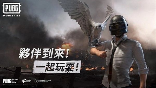 PUBGMobileLITE