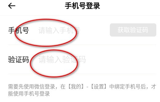 潮玩宇宙