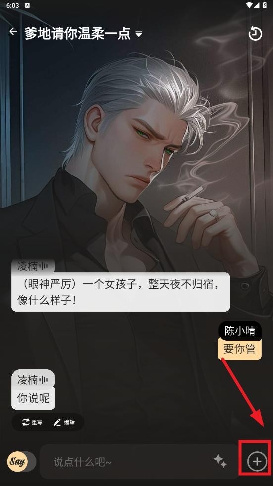Saylo复活版