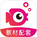 鲤鱼辅导软件