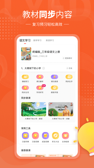 鲤鱼辅导软件