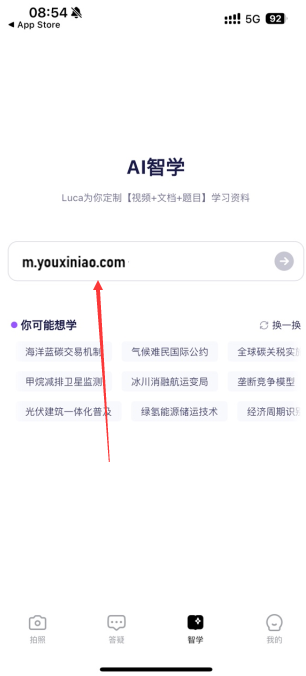 Luca AI学习助手