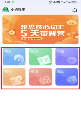 小树雅思