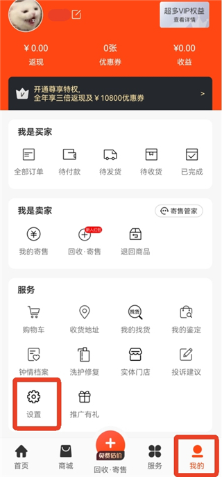 妃鱼