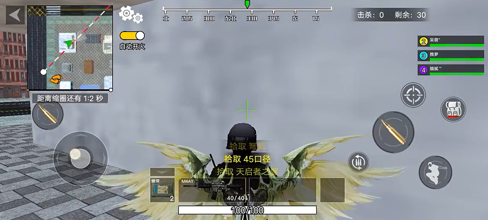 真实荣耀吃鸡