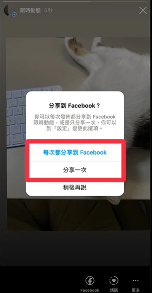 Instagram官网最新版