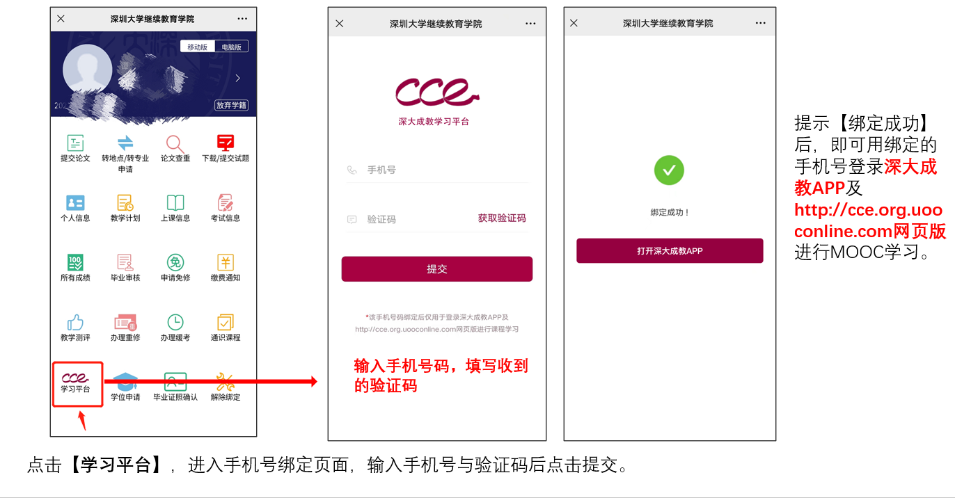 深大成教