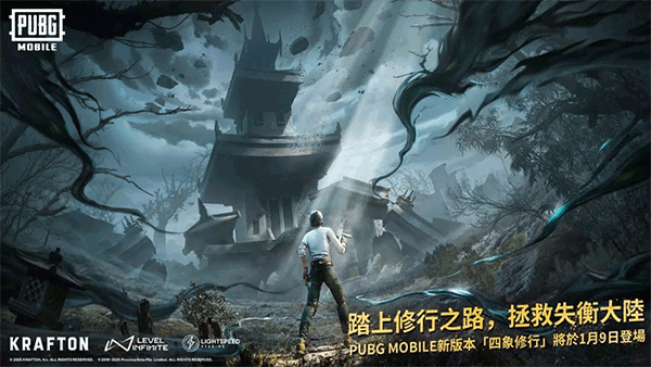 绝地求生pubgmobile国际服
