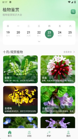 猫满花语
