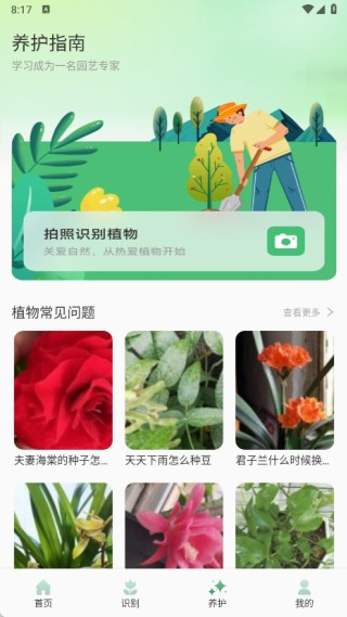 猫满花语