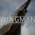 僚机计划steam游戏中文版（Project Wingman）