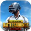 pubg mobile(国际服)手机版下载安装