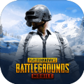 pubg绝地求生(地铁逃生)国际服