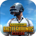 pubg国际服地铁逃生测试版下载
