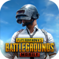 PUBG国际服版本