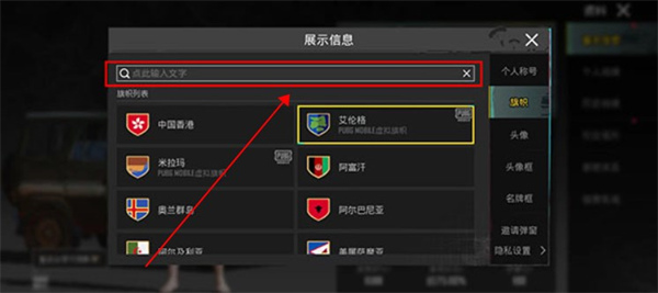 绝地求生pubgmobile国际服
