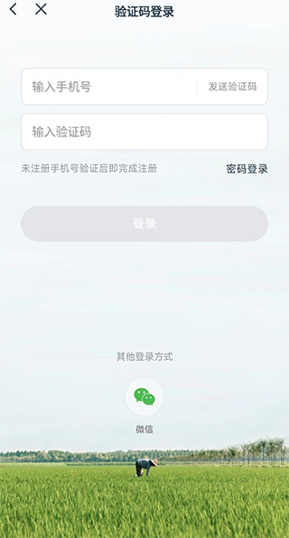 一米市集