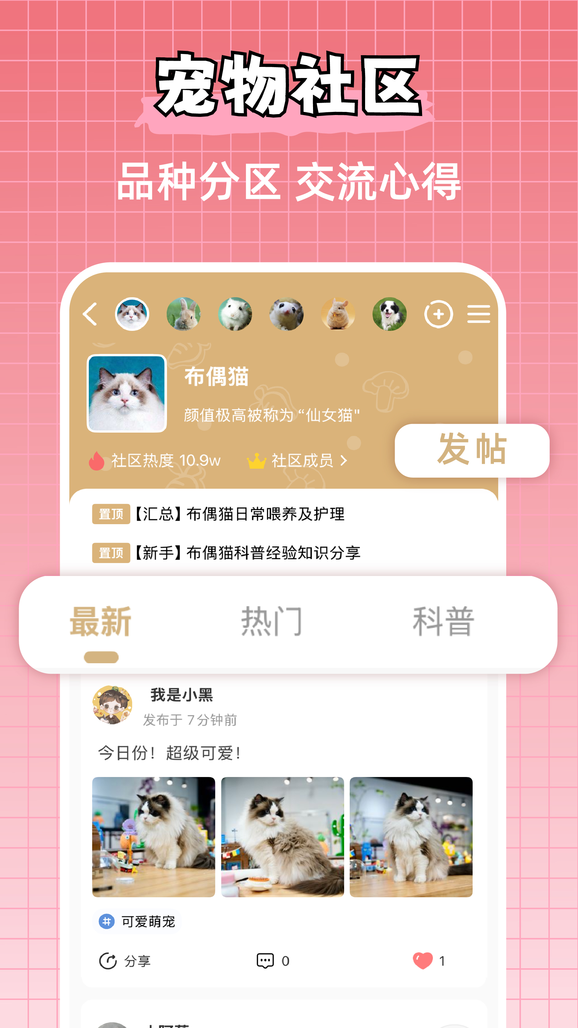 宠物王国