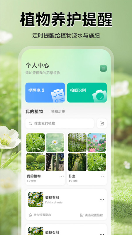 猫满花语