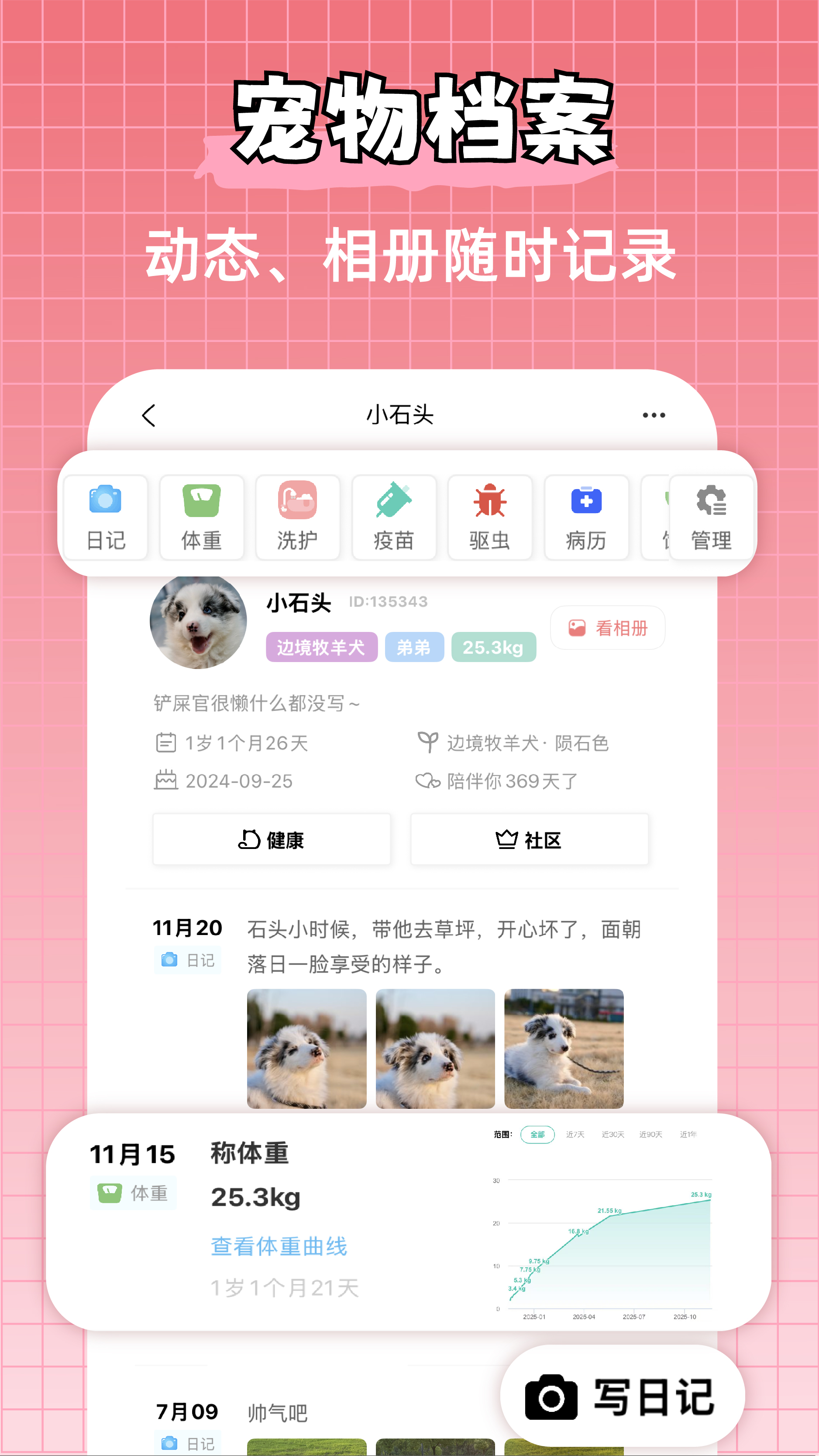 宠物王国