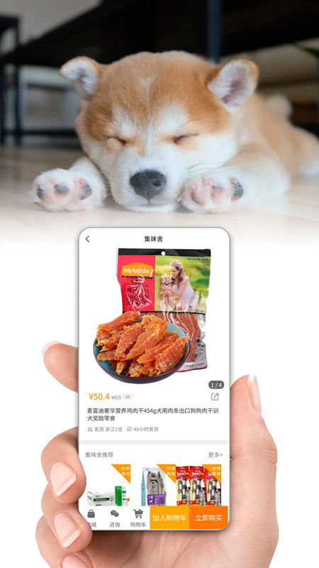 集咪舍软件版