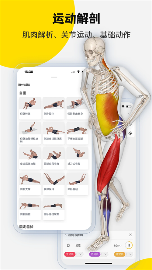 3Dbody