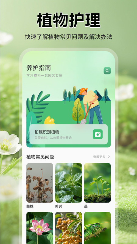 猫满花语