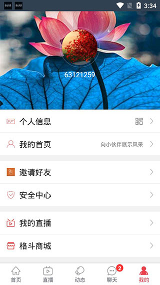 格斗世界
