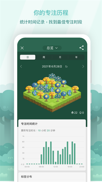 专注森林
