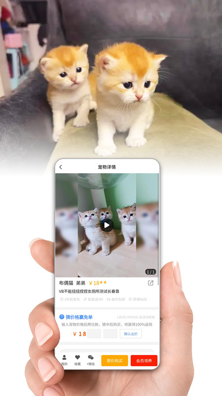 集咪舍软件版