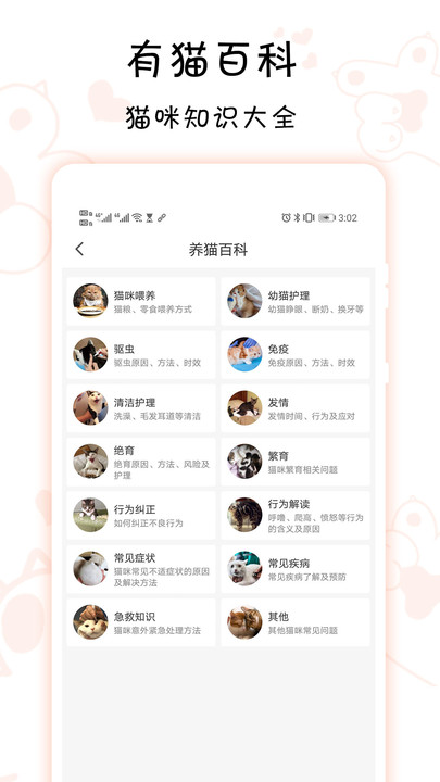 有猫