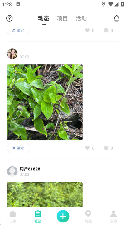 生命观察