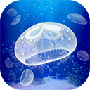 养育水母的治愈游戏下载安装-养育水母的治愈游戏(Jellyfish)中文版下载v1.0.0安卓版