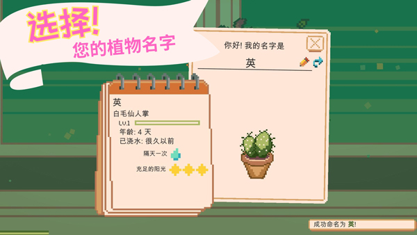 窗边花园最新版