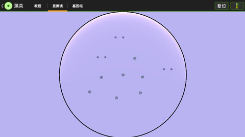 细胞实验室