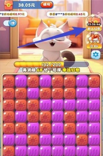 猫咪公社