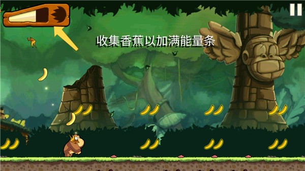 香蕉金刚