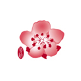 华航下载-华航官方正版下载v1.0.0