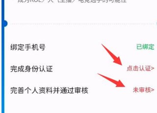 皮皮陪玩app怎样成为陪玩2