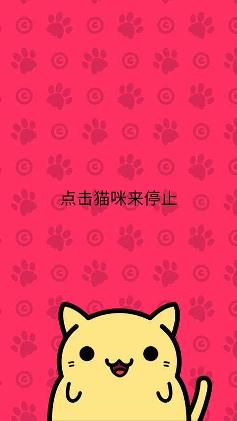 小偷猫