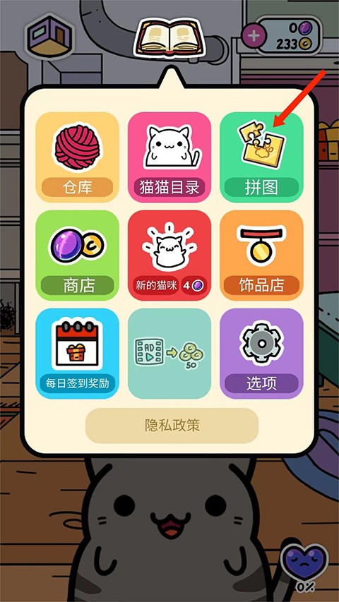 小偷猫