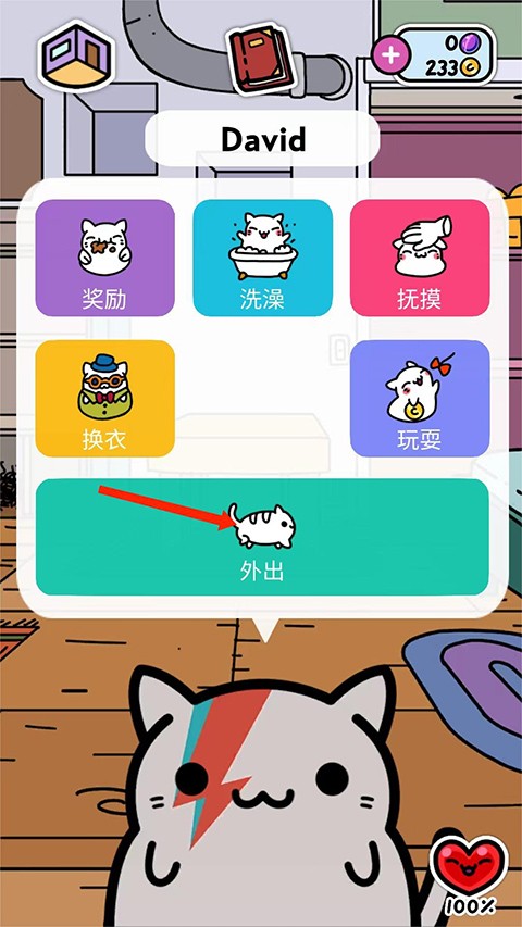 小偷猫