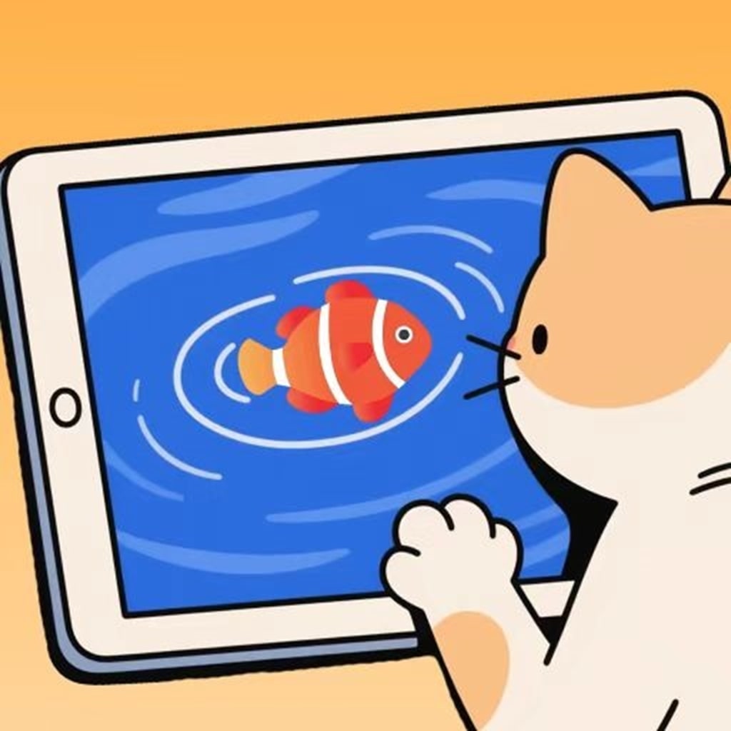 逗猫