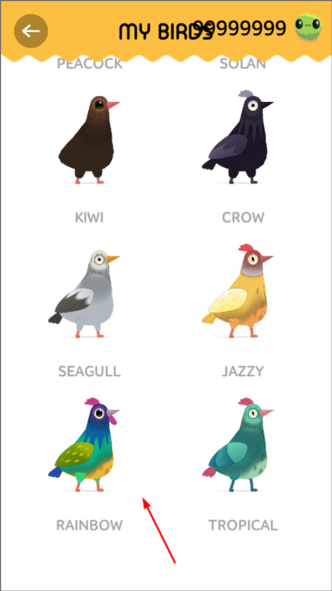 PigeonPop