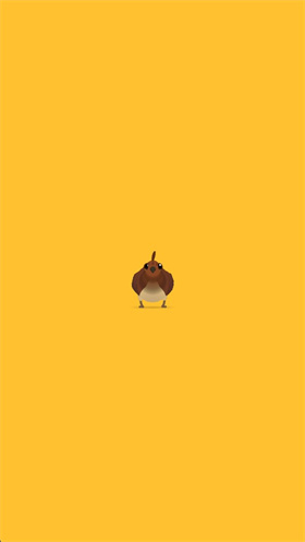 pigeonpop疯狂的鸽子